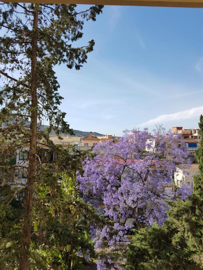 Estudiosol40 Torremolinos Dış mekan fotoğraf